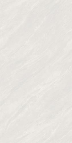 ZY48L03(4)