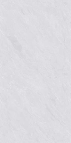 ZY48L11(2)