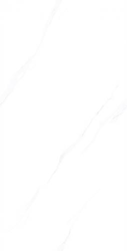ZY612L12(4)